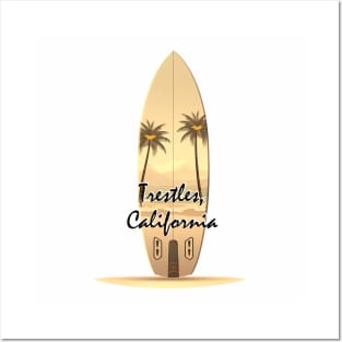 Surfing session Trestles, California Posters and Art